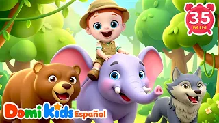 🐯 Animales de la Selva | Canciones Infantiles para Aprender y Divertirse | Domi Kids en Español