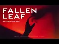 Vintage Culture, Fideles - Fallen Leaf ft. Be No Rain (ZALEØN Rework)