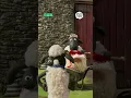 Download Lagu Bitzer’s Training Transformation! 🐶💪 | Shaun the Sheep: Go Bitzer Go | Cartoons for Kids