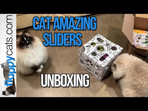 Cat Amazing SLIDERS Interactive Treat Puzzle Cat Toy 