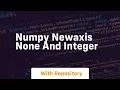 numpy newaxis none and integer