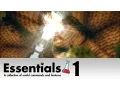 Essentials Spigot Bukkit Plugin German 1