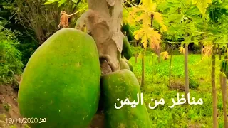 مشتاق لك اسئل عليك الأطيار مع أجمل منظر في وادي جنوب تعز دندنها