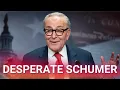 Download Lagu Chuck Schumer has a meltdown as a deal is reached to reopen the US government