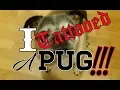 I tattooed a pug