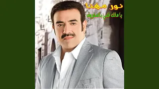                                   دندنها