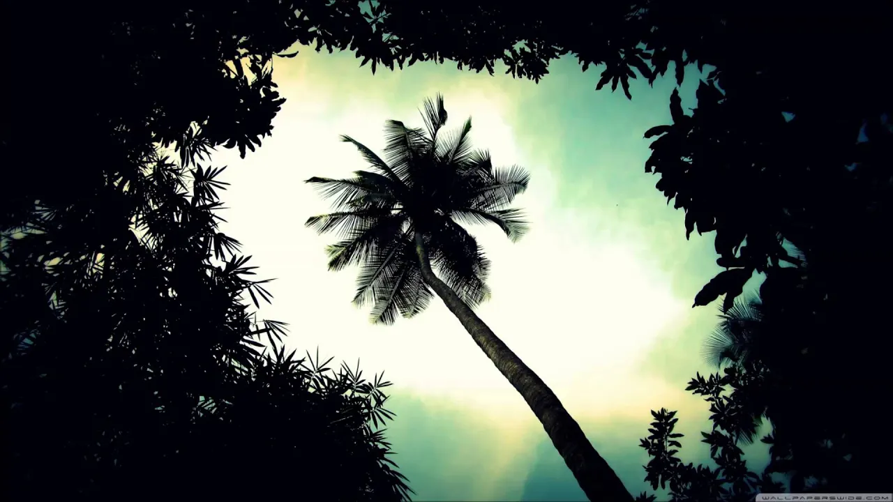 Flatbush Zombies - Palm Trees (Instrumental - Remake)