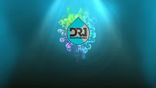 minion ketawa ngakak