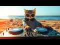 Livestream - House Beach Party 2025 | Ultimate Sunset \u0026 Dance Vibes with The Coolest Cat DJ 🌅🎉