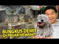 Lagu BUNGKUS HEWAN DEDEMIT DARI PASAR HEWAN TERBESAR BANDUNG! ANEH BANGET ADA HEWAN KAYA BEGINI!