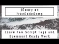 Learn how Script Tags and Document Ready Work jQuery in freeCodeCamp