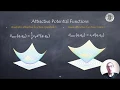Motion Planning with Potential Fields Mobile Robotics