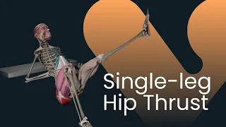 Single-Leg Hip Thrust: Build Stronger Glutes Without Adding Weight