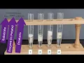 Enzyme Potato Experiment