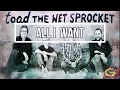 Toad the Wet Sprocket - All I Want (1991 / 1 HOUR * LYRICS * LOOP)
