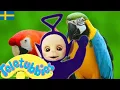 Download Lagu ☆ Teletubbies Svenska ☆ Säsong 9 , Episod 230 ☆ Visar för barn ☆