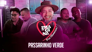 Passarinho Verde - IMAGINA PRA NAMORAR