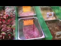 John s Meat Market Tour