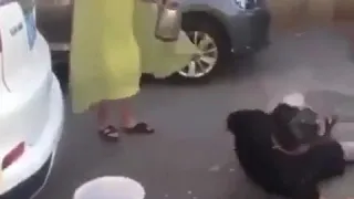 مهرجان دلع تكاتك مسخره    دندنها