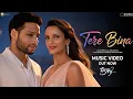 Download Lagu Dhadak 2 - Tere Bina | New Song | Siddhant Chaturvedi | Triptii Dimri | A-Series Presents ||