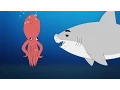 SHARK WAHLBERG