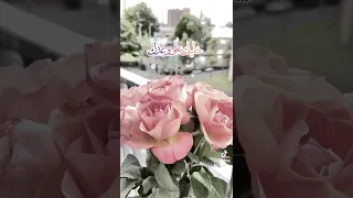 هيثم شاكر خليك جنبي احضن هوى قلبي هيثم شاكر خليك جنبي اغاني قديمه جيل التسعينات تصويري تصميمي 