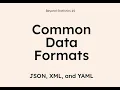 Understanding JSON YAML and XML Technical Tools for Data Scientists - Beyond Statistics