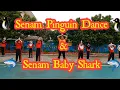 Download Lagu Senam Pinguin Dance \u0026 Senam Baby Shark