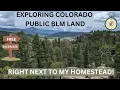 Exploring Colorado Public BLM Land Right Next To My Homestead Ep 42