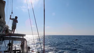 Blue Water Sailing Passage to Escape Foreign Country Lockdown (Ep.113 Sailing w/the Litzenbergers)