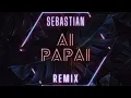 Anitta Feat Mc Danny & Hitmaker - AI PAPAI (SEBASTIAN REMIX)