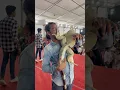 Download Lagu Monster green iguana 🦎 reptiles 😱 #iguana #pets #reptiles