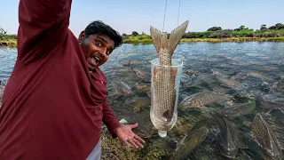 Water Bottle Fish Hunting|வாட்டர் பாட்டில் மைதா  போட்டு மீன் பிடிக்கலாம்|Village Fish Hunting|Suppu