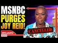 MSNBC Kicks Joy Reid OUT Sinking Cable News Channel SHUFFLES Deck New Prez BEGS for Ratings FLIP