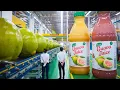 How Millions of Tons of Guavas Are Harvested and Turned into Juice – Inside a Guava Factory