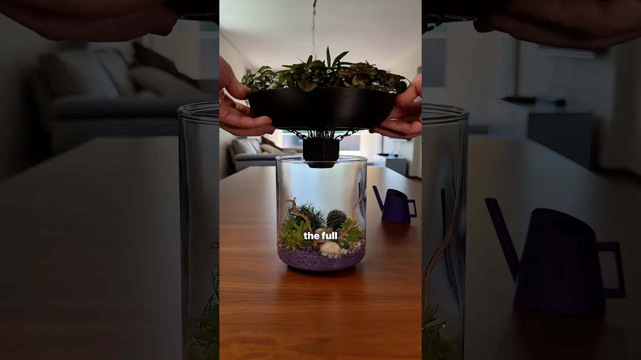 3COSYSTEM | A 3-TIER TERRARIUM video thumbnail