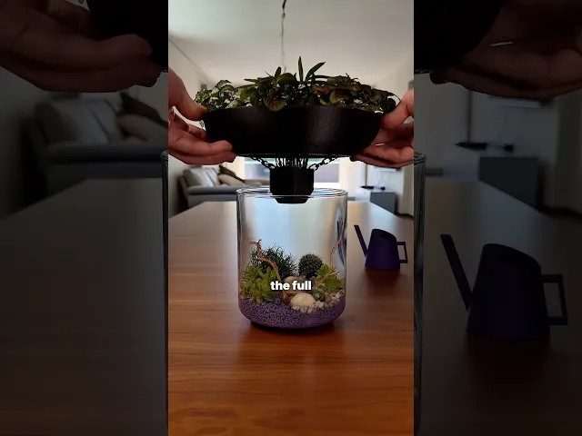 3COSYSTEM | A 3-TIER TERRARIUM video thumbnail