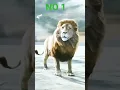 Download Lagu Sikka Chale hai mere naam ka🐯🦁💪🏿🤨🤨🤨#ytshorts #shorts