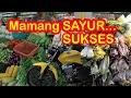 LAGU JUALAN SAYUR SUKSESSS