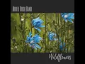 Wildflowers