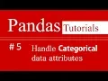 Pandas Tutorials 5 How to handle Categorical data attributes in Pandas