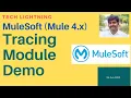 MuleSoft Tracing Module Demo Mule4 Logger Http Listener x-correlation-id correlation id