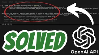 OpenAIError The OPENAI - API