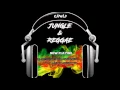 Lagu Reggae \u0026 Jungle DnB mix (by Pedris)
