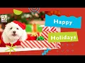 Holiday Happiness At Petland Knoxville