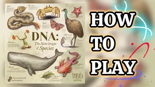 HOW TO PLAY DNA in under 4 minutes