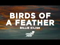 Download Lagu Billie Eilish - BIRDS OF A FEATHER (Lyrics) sped up