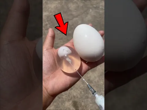 নকল ডিম ভুলেও খেও না ~ #funnyvideo #crazygameplay