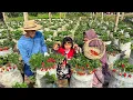 Download Lagu Memetik Stroberi Melimpah di Kebun | Bikin Putu Ayu Coklat Topping Stroberi | Kampung Halaman