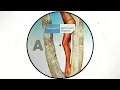 Avant Garde (Jerry Ropero) - Get Down (Again) (Jerry Ropero's Avantgarde Mix)